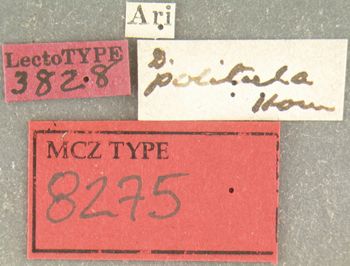 Media type: image;   Entomology 8275 Aspect: labels